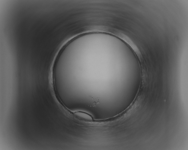 X0000102800996200808251045