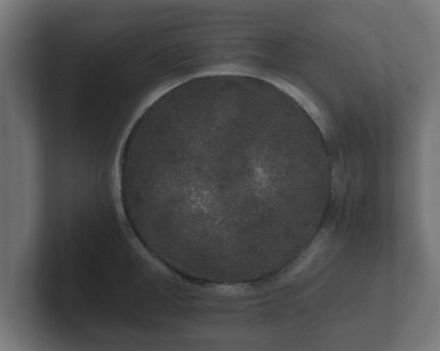 X0000102800998200808251045