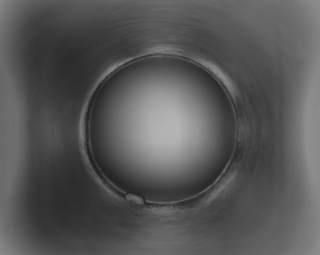 X0000102800999200808251045