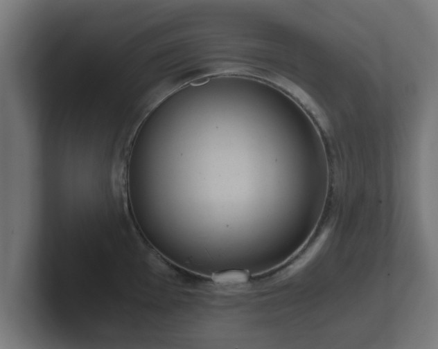 X0000102801001200808251045