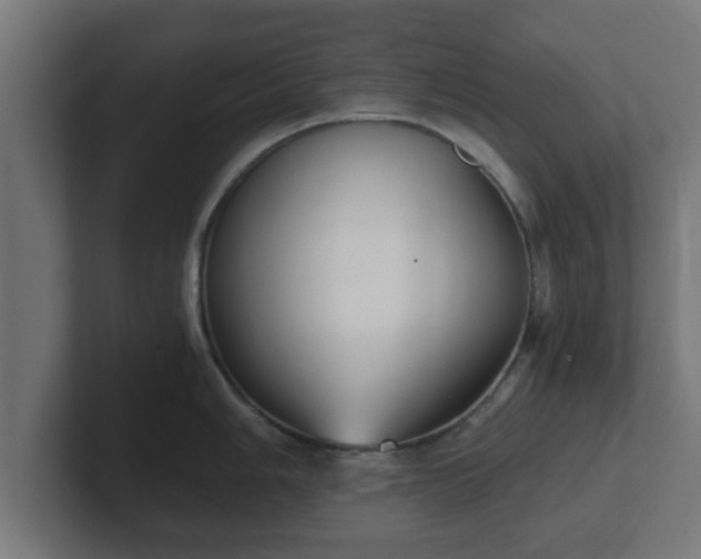 X0000102801006200808251045