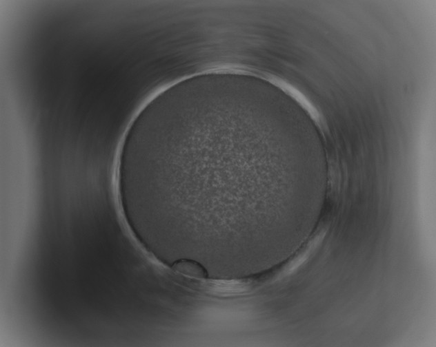 X0000102801007200808251045