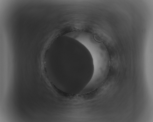 X0000102801009200808251044