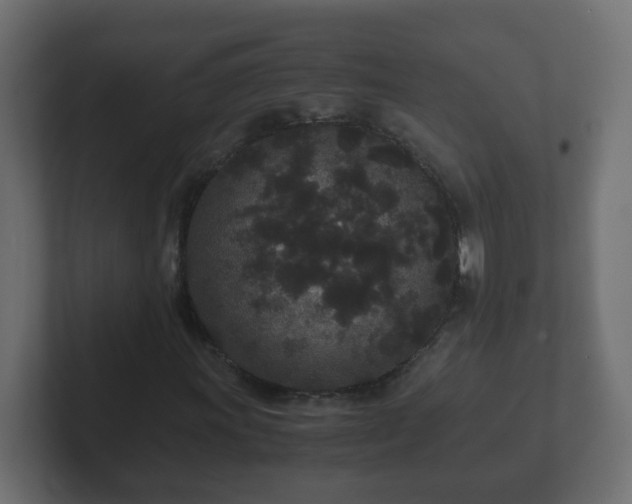 X0000102801011200808251044