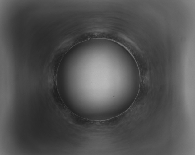 X0000102801014200808251044