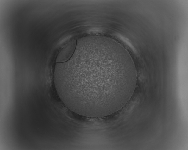 X0000102801015200808251044