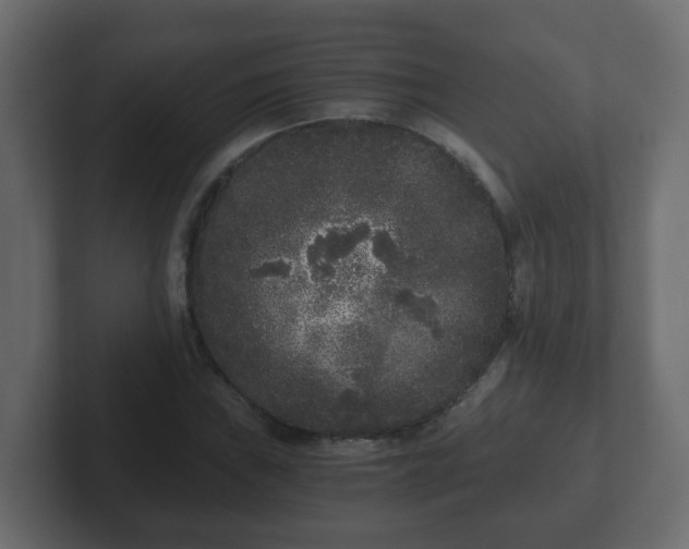 X0000102801019200808251044