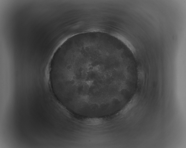 X0000102801023200808251044