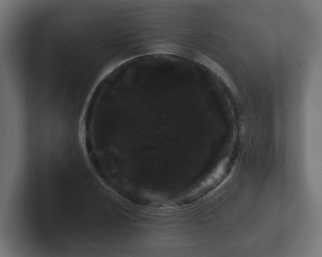 X0000102801024200808251044