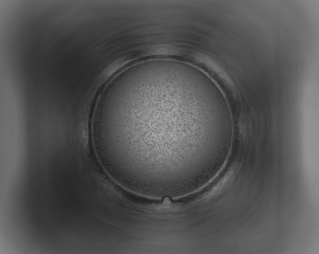 X0000102801025200808251045