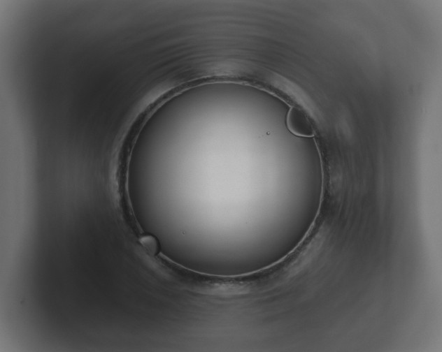 X0000102801026200808251045