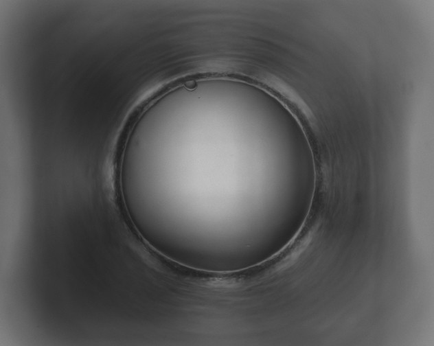 X0000102801029200808251045