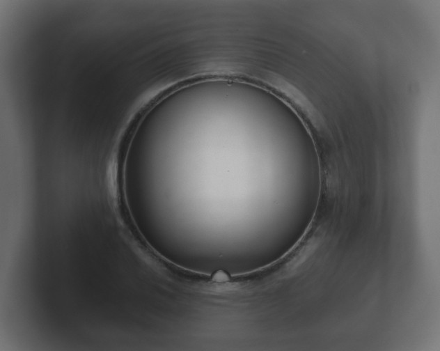 X0000102801030200808251045