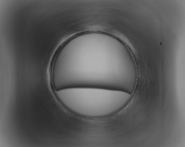 X0000102801032200808251045