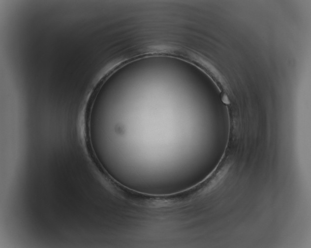 X0000102801034200808251045