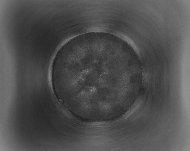 X0000102801035200808251045