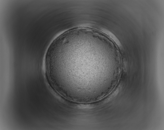 X0000102801036200808251045