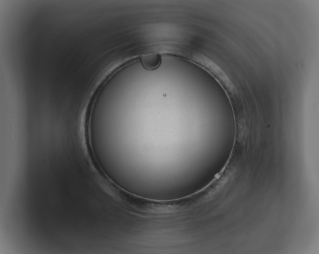 X0000102801039200808251045