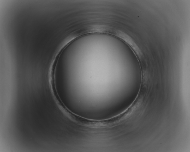 X0000102801042200808251045