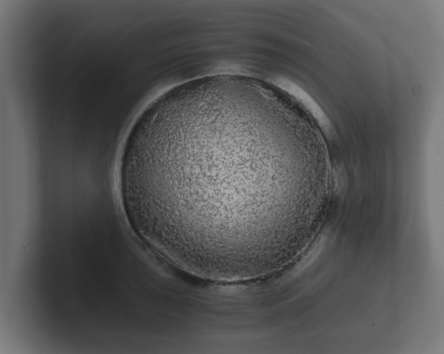 X0000102801043200808251045