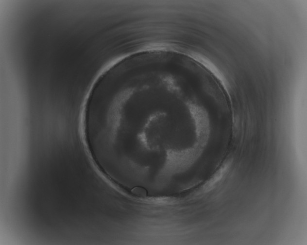 X0000102801045200808251045