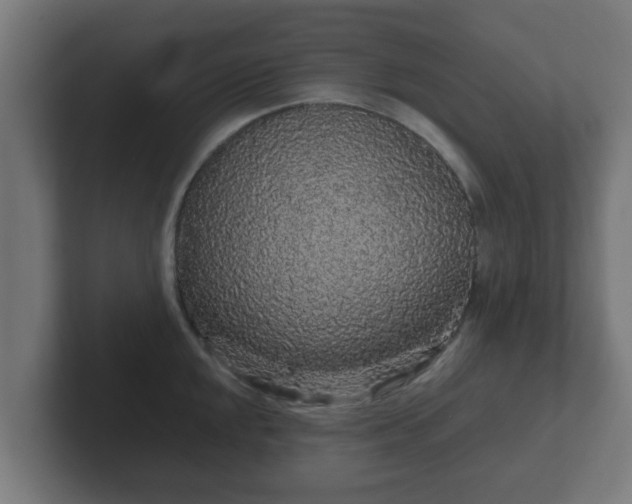 X0000102801048200808251045