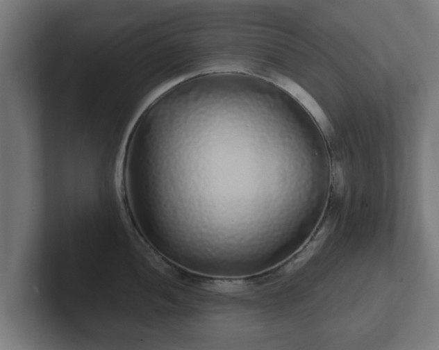 X0000102801052200808251045