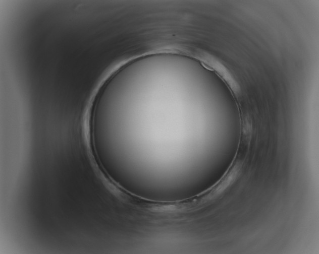 X0000102801054200808251045