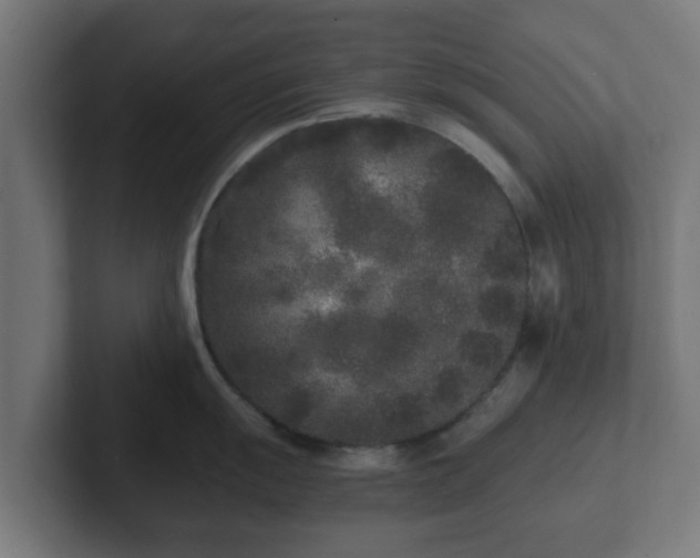 X0000102801055200808251045