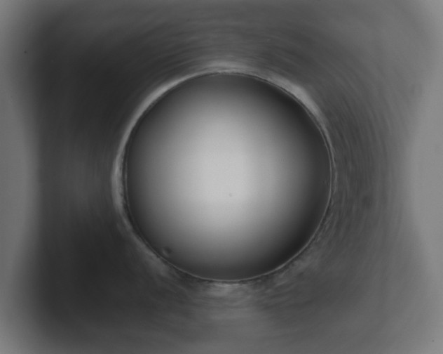 X0000102801056200808251045