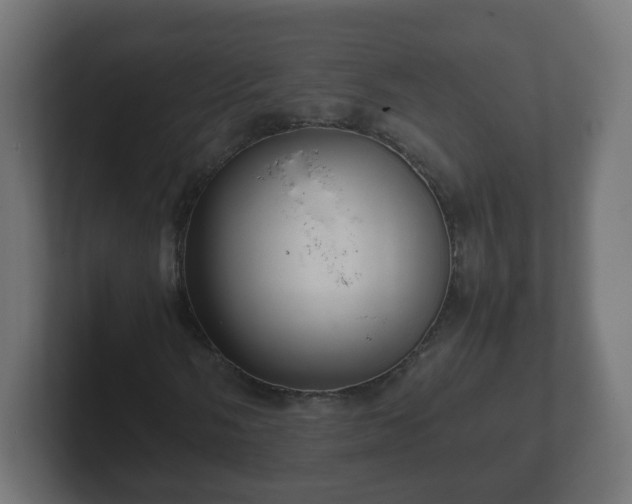 X0000102801058200808251044