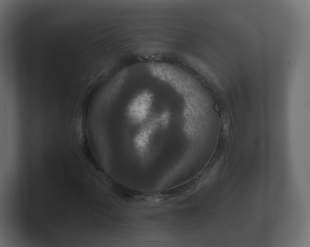 X0000102801060200808251044