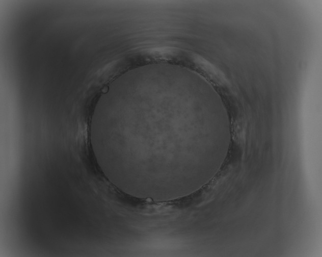 X0000102801061200808251044