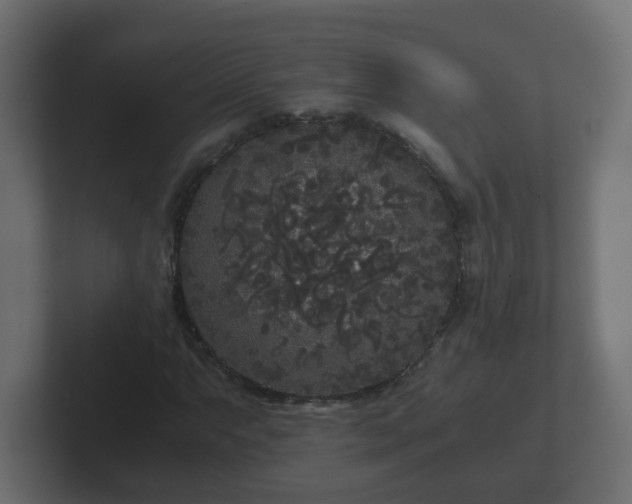 X0000102801063200808251044