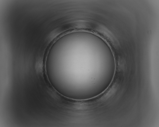 X0000102801065200808251044