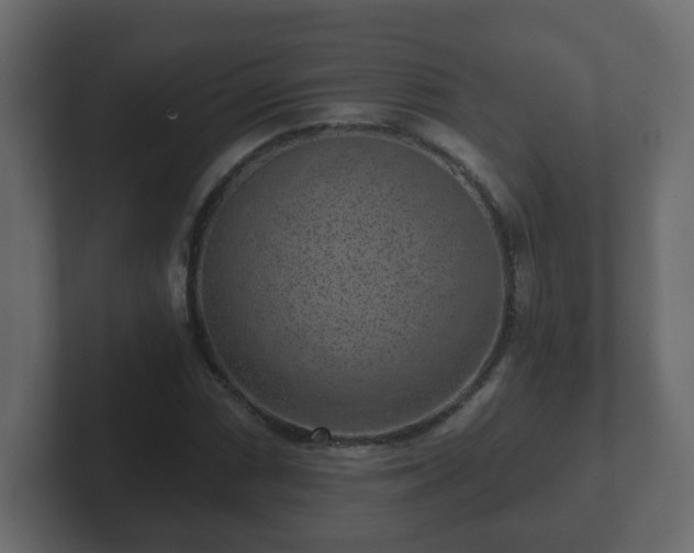 X0000102801066200808251044