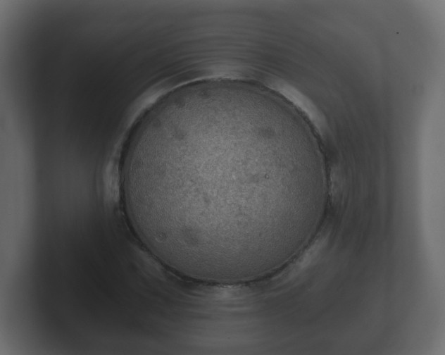 X0000102801067200808251044