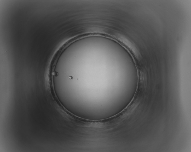 X0000102801068200808251044