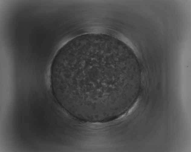 X0000102801071200808251044