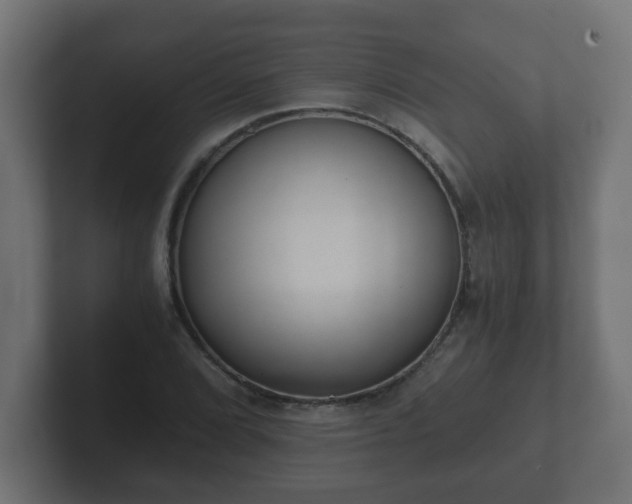 X0000102801072200808251044