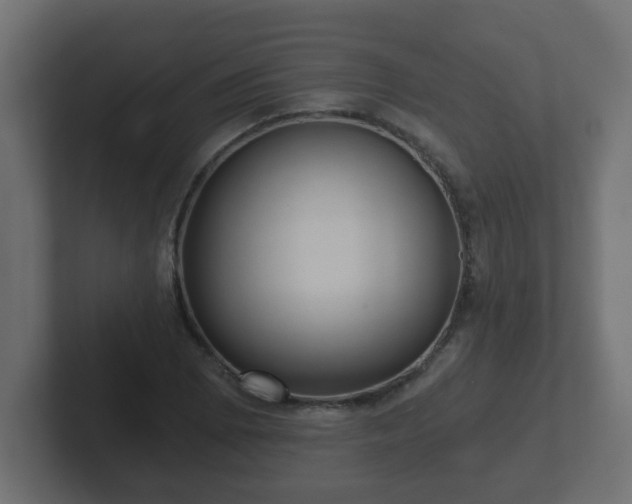 X0000102801073200808251044