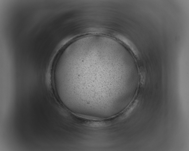 X0000102801074200808251044