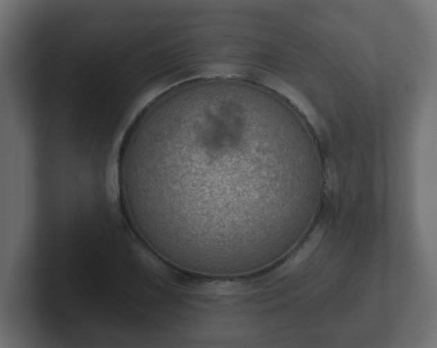 X0000102801075200808251044