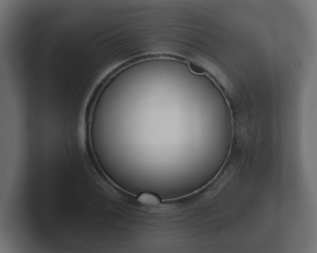 X0000102801076200808251044