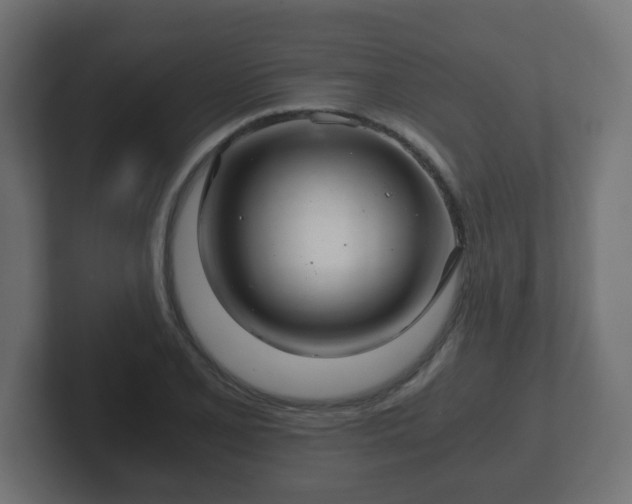 X0000102801077200808251044