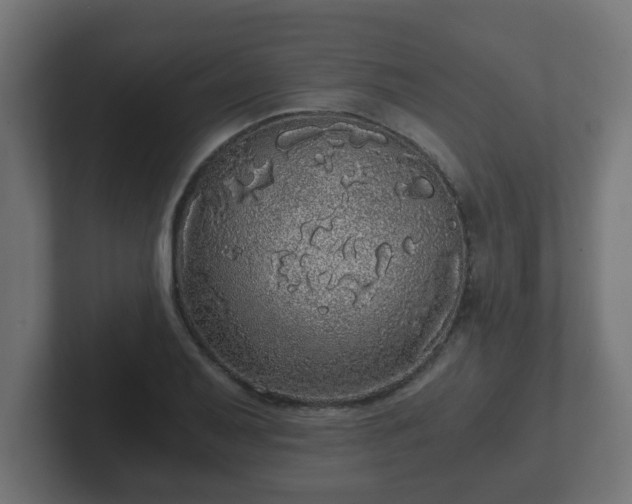 X0000102801079200808251044