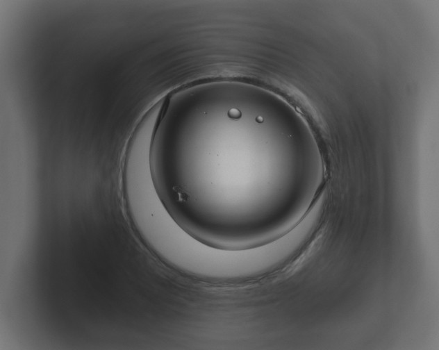 X0000102801081200808251044