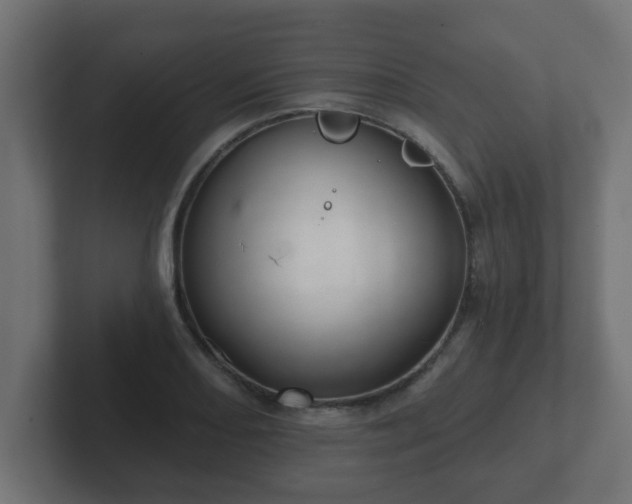 X0000102801082200808251044