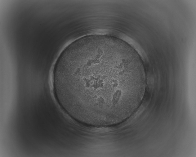 X0000102801083200808251044