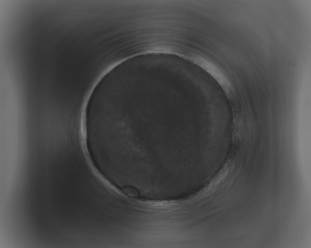 X0000102801084200808251044